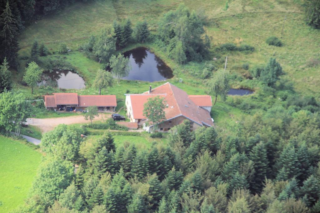 Gites De La Racine Girmont-Val-dʼAjol Exterior foto