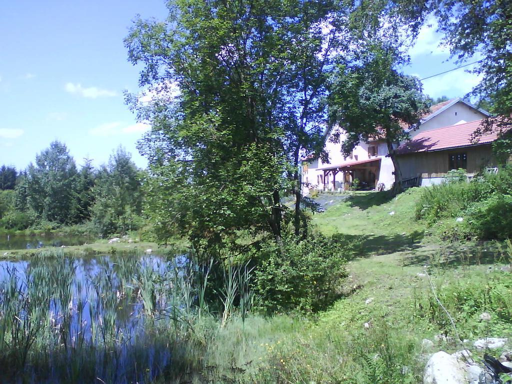 Gites De La Racine Girmont-Val-dʼAjol Exterior foto